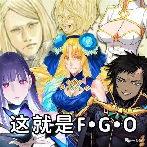 fgo autentificare|e.